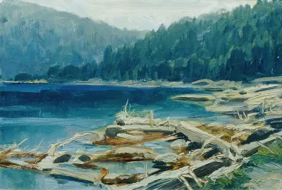 Bohmerwald 2
