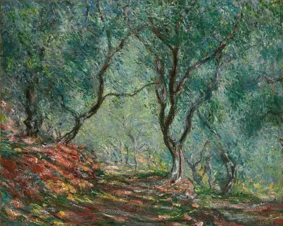 Bois Doliviers Au Jardin Moreno