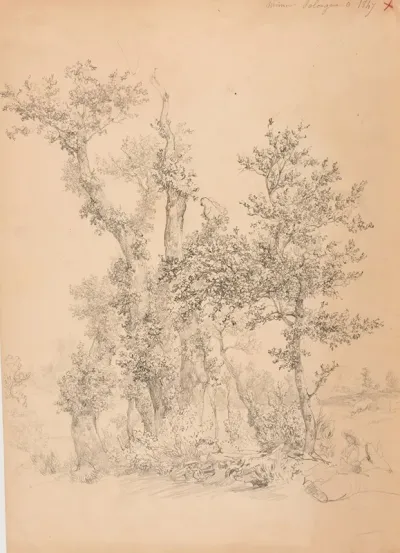 Bois Et Pre A Solonge Pres Mimeure