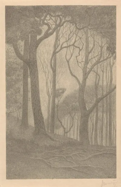 Bomen 4