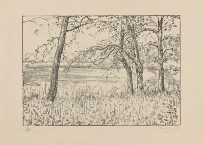 Bomen Aan Een Meer Meer En Bosch