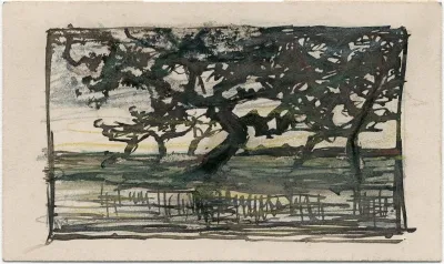 Bomen Aan Een Plas