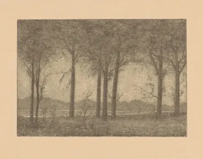 Bomen Aan Het Water
