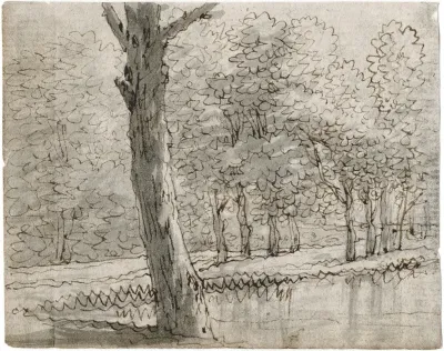 Bomen Langs