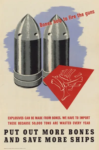Bones Help To Fire The Guns Put Out More Bones And Save More Ships