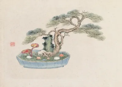 Bonsai Kabenzu Pl 01