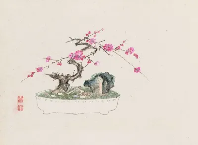 Bonsai Kabenzu Pl 03