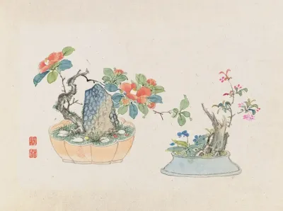 Bonsai Kabenzu Pl 04