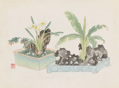 Bonsai Kabenzu Pl 05