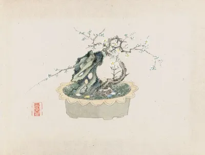 Bonsai Kabenzu Pl 06