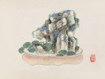 Bonsai Kabenzu Pl 08