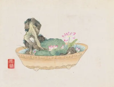 Bonsai Kabenzu Pl 13