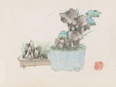 Bonsai Kabenzu Pl 14