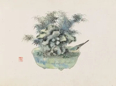 Bonsai Kabenzu Pl 18