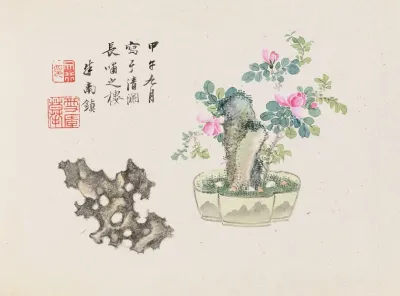 Bonsai Kabenzu Pl 20