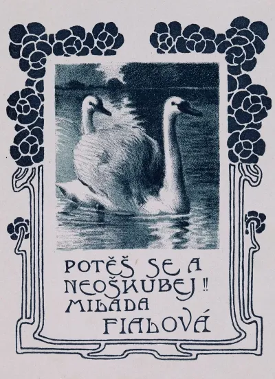 Bookplate Potes Se A Neoskubej Milada Fialova