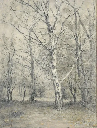 Bos Met Berkebomen