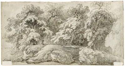 Bosgezicht 5