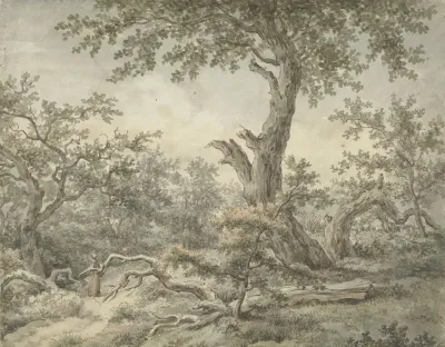 Boslandschap 2