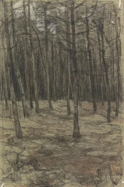 Boslandschap 5