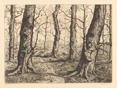 Bosrand Met Kale Bomen