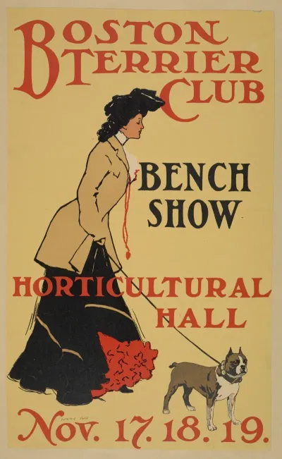 Boston Terrier Club