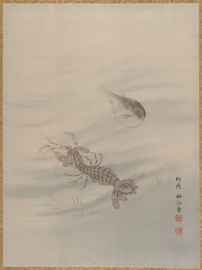 Bottom Of The Sea Showing Cray Fish