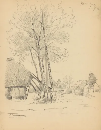 Bouquet De Bouleaux Et Chaumieres