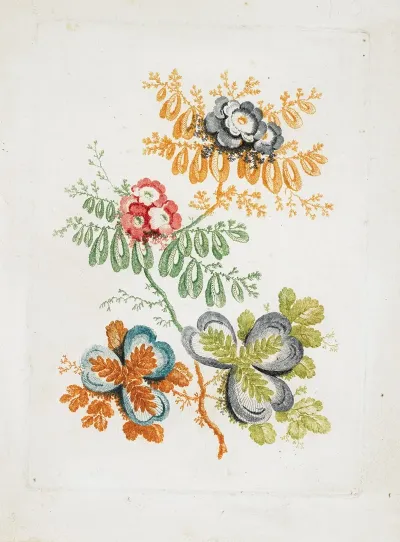 Bouquet De Fantaisie From Nouvelle Suitte De Cahiers De Fleurs Ideales