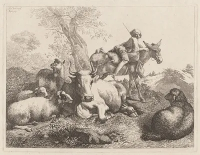 Boy On A Donkey Watching Over A Group Of Animals