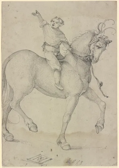 Boy On A High Horse