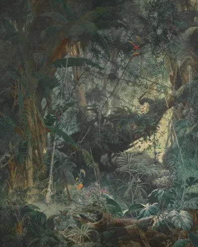Brasilianischer Urwald