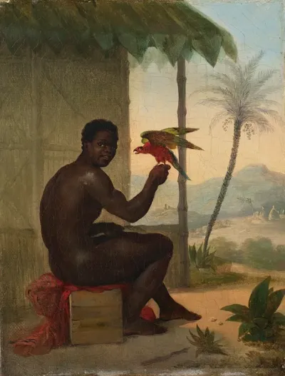 Brazilian Slave