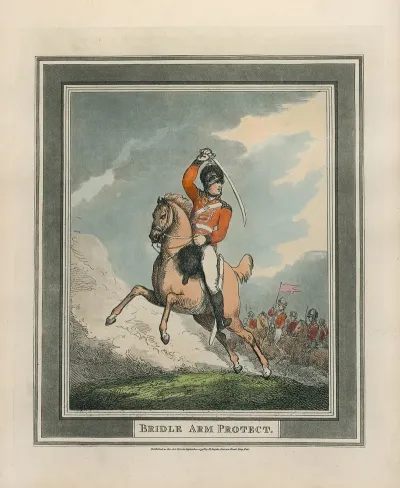 Bridle Arm Protect