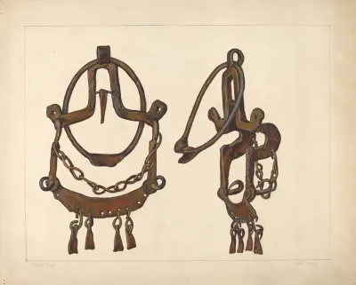 Bridle Bit