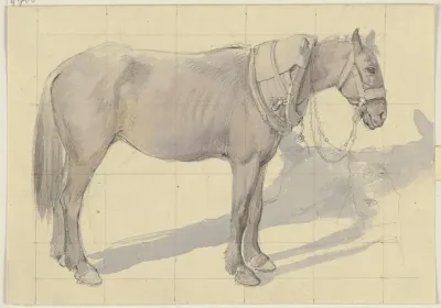 Bridled Horse