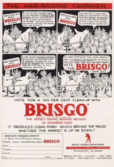 Brisgo The Hair Raising Campaign
