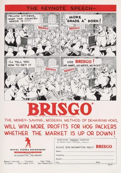 Brisgo The Keynote Speech