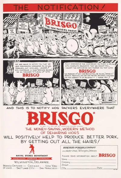 Brisgo The Notification