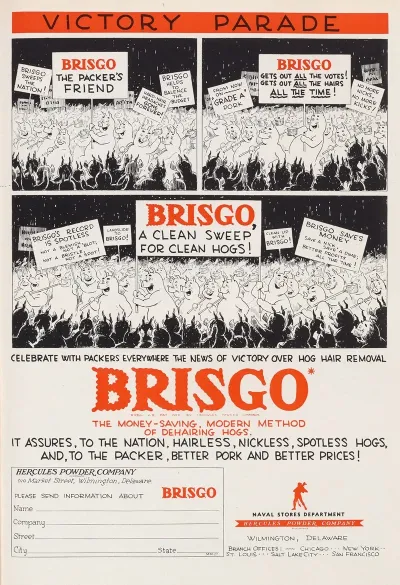 Brisgo Victory Parade