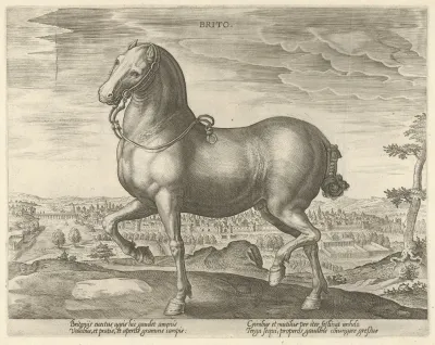 Brito