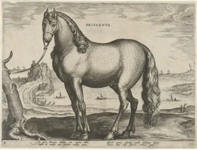 Brittanus