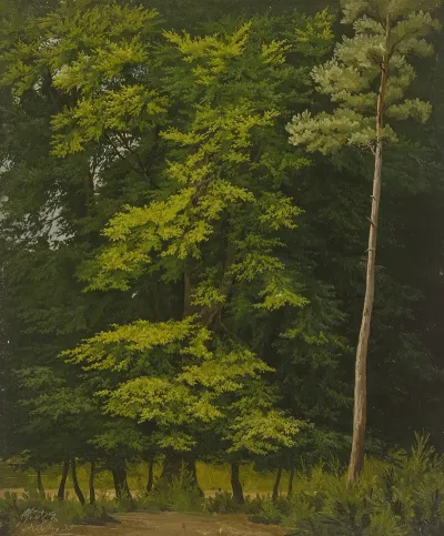 Broadleaf Forest Study In Oil