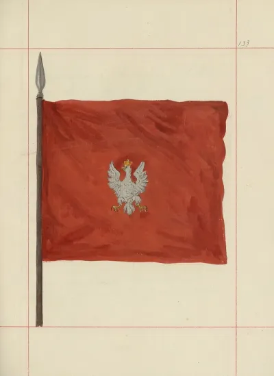 Bron Zaczepna I Odporna W Polsce T 4 Pasy Lite Ozdoby Choragwie I Proporce Pl 115