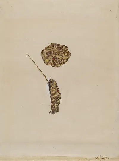 Brooch 16