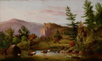 Brook In Summer
