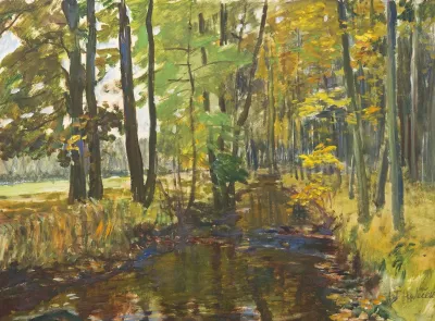 Brook In The Forest