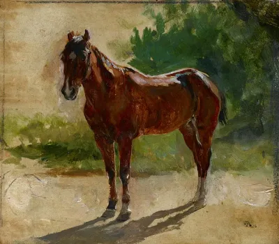 Brown Horse Study