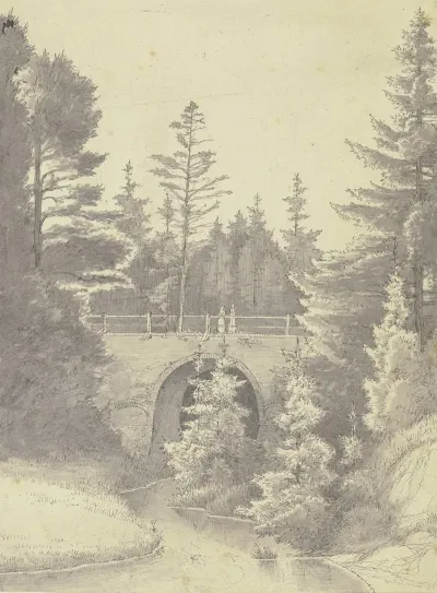Brucke Uber Einem Bach Im Wald