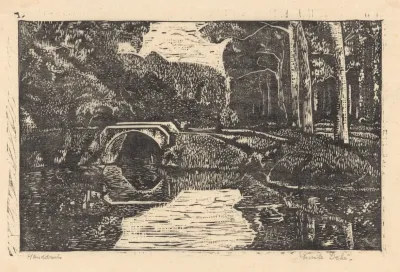 Brug Over Een Gracht In Een Bos